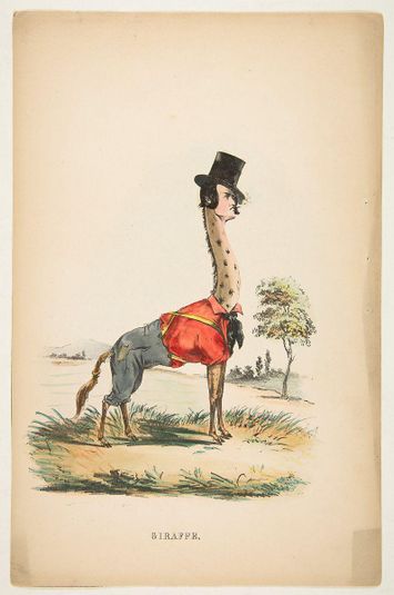 Giraffe (John E. Owens as Jakey), from The Comic Natural History of the Human Race
