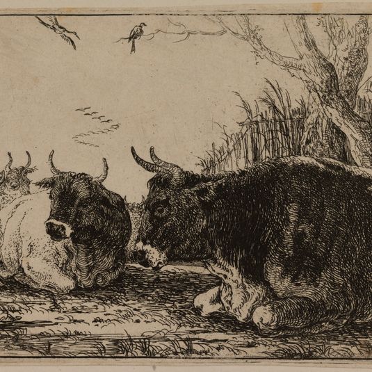 Cinq vaches dans un pâturage (Bartsch 10)