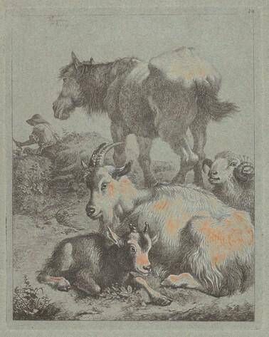 Horse, Ram, Goat with Kid; In the Distance a Shepherd with Flock