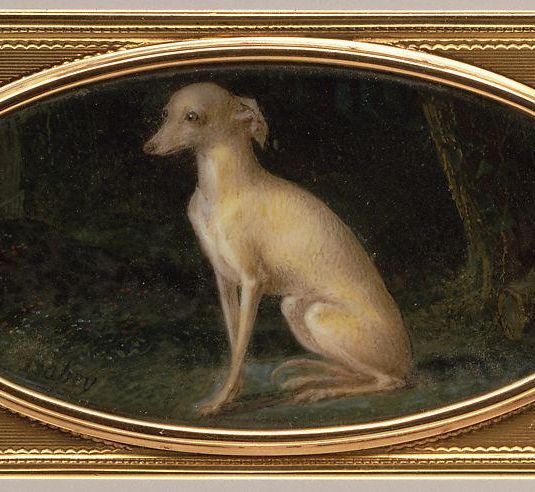 Box with portrait of a whippet