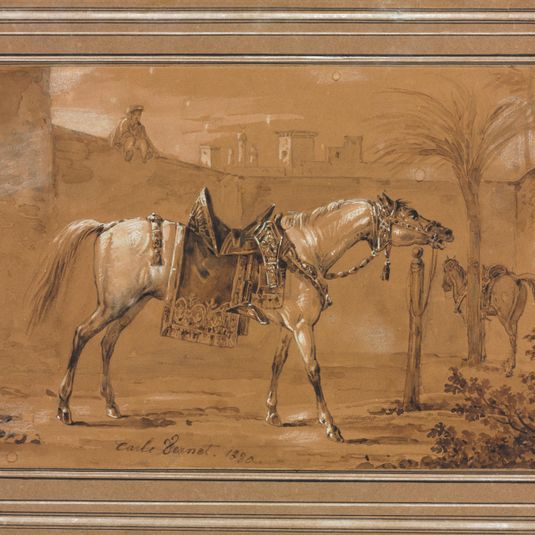Saddled Arabian Horse in Courtyard
