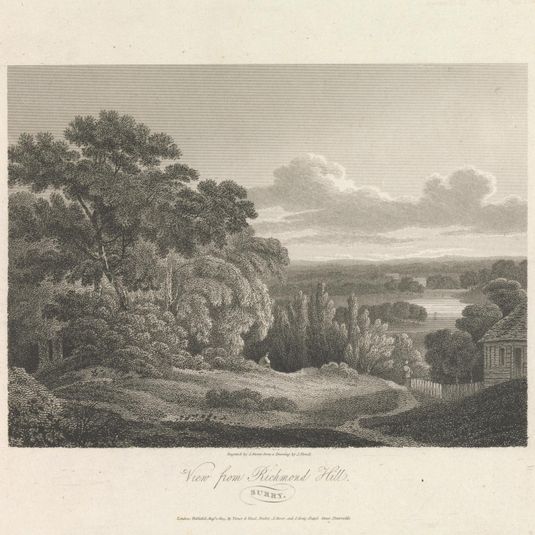 View from Richmond Hill, Environs - South
