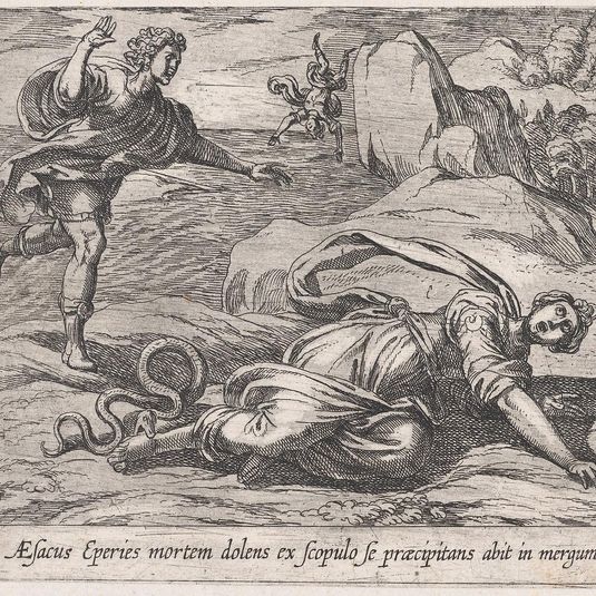 Plate 111: Aesacus and Hespeia (Aesacus Eperies mortem dolens ex scopulo se praecipitans abit in mergum), from Ovid's 'Metamorphoses'