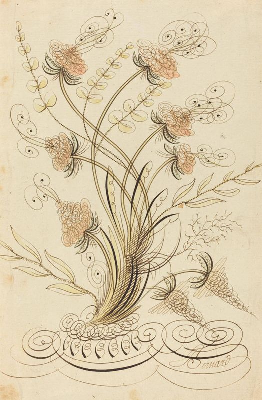 Calligraphic Flowers