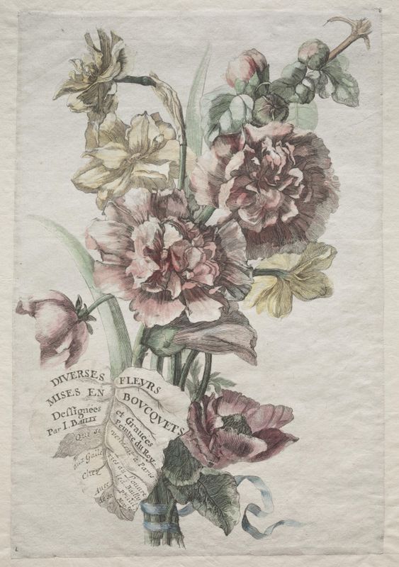 Divers fleurs mises en boucquets:  No. 1 - Hollyhocks and Narcissus