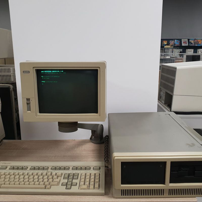Wang Professional Computer