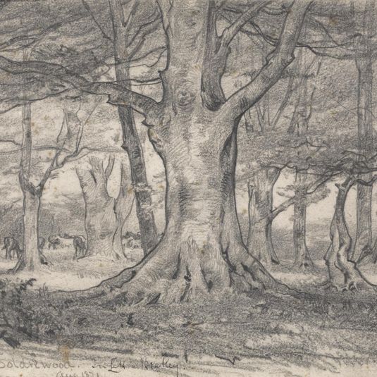 A Forest Landscape near Boldrewood