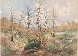 Autumn Landscape in the Forest of Fontainebleau