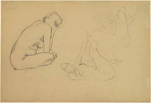 Studies of a Female Nude [recto]