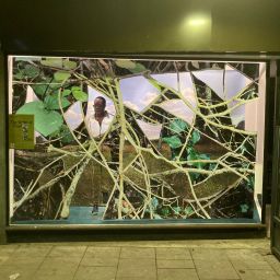 Sharon Walters, 'Friendly Forest'and The Show Windows: British Sign Language Tour