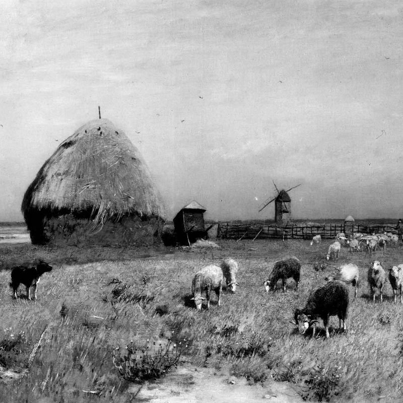 Landscape near Cayenz with a Sheepdog and Flock
