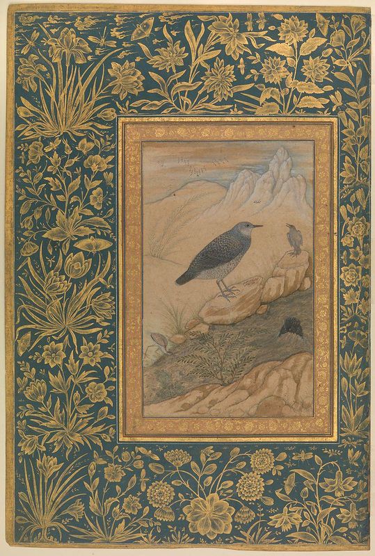 "Diving Dipper and Other Birds", Folio from the Shah Jahan Album
