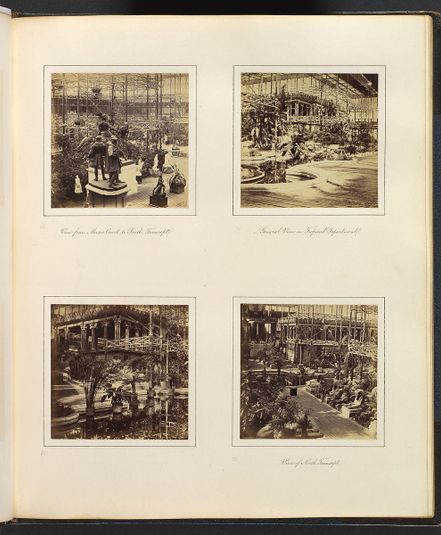 [View From Music Court to South Transept; View in Tropical Department; View of the Egyptian Court; View of North Transept]