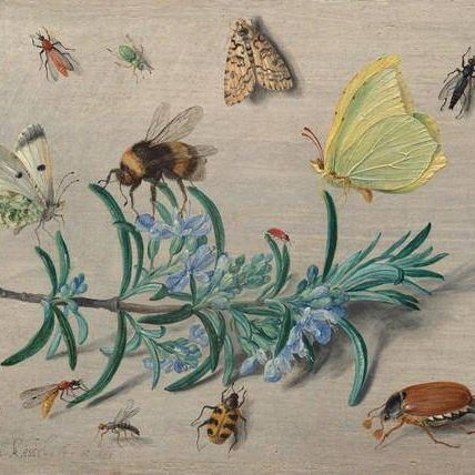 Insects and a Sprig of Rosemary