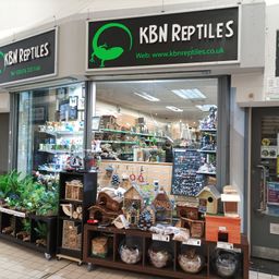 KBN Reptile Shop