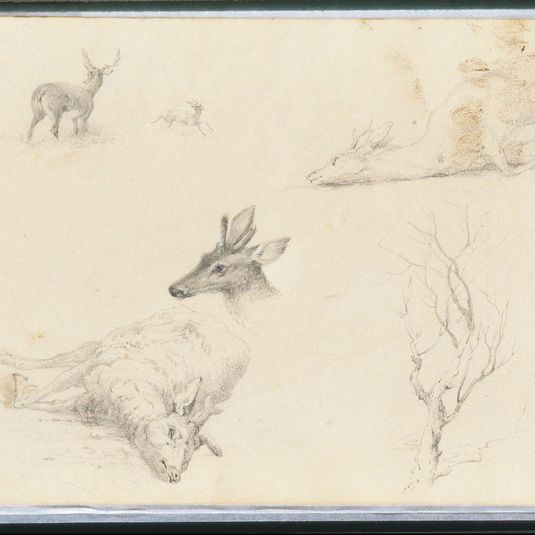 Sketchbook of Landscape and Animal Subjects