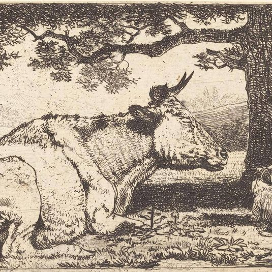 Two Cows and a Woman Lying Down