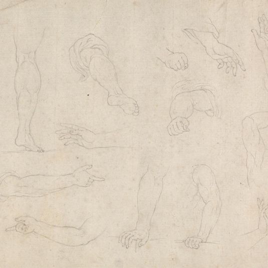 Studies of Legs, Arms and Hands