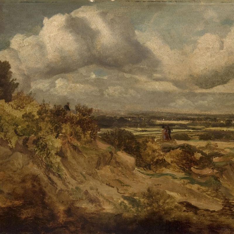 Landscape with Brushwood
