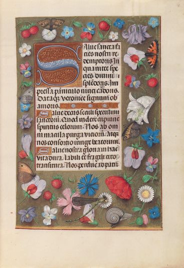 Hours of Queen Isabella the Catholic, Queen of Spain:  Fol. 15r