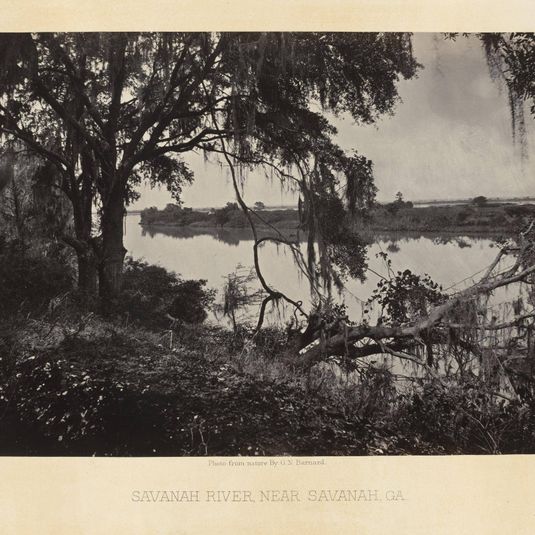 Savannah River, near the City from the album Photographic Views of Sherman's Campaign