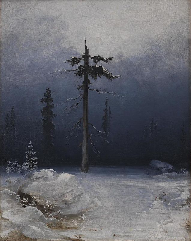 Tree in a Wintry Forest