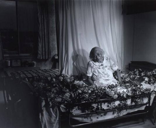Gussie on a Bed with Flowers