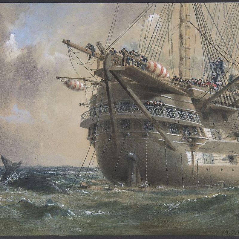 H.M.S. Agamemnon Laying the Atlantic Telegraph Cable in 1858: a Whale Crosses the Line