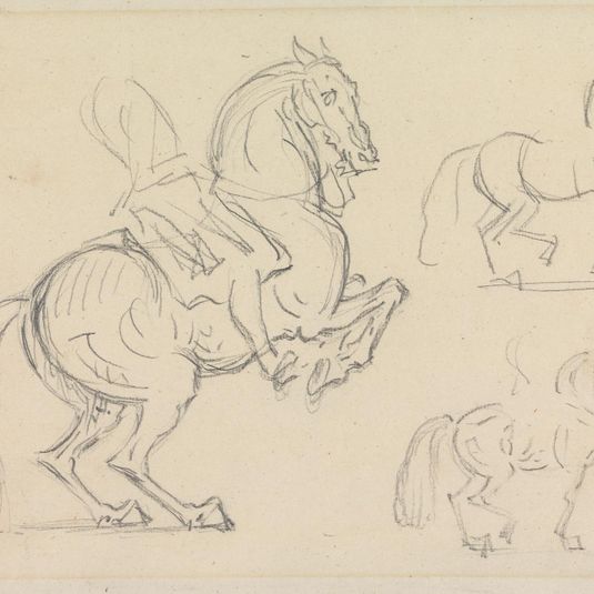 Schooling Horses: Three Studies on a Page