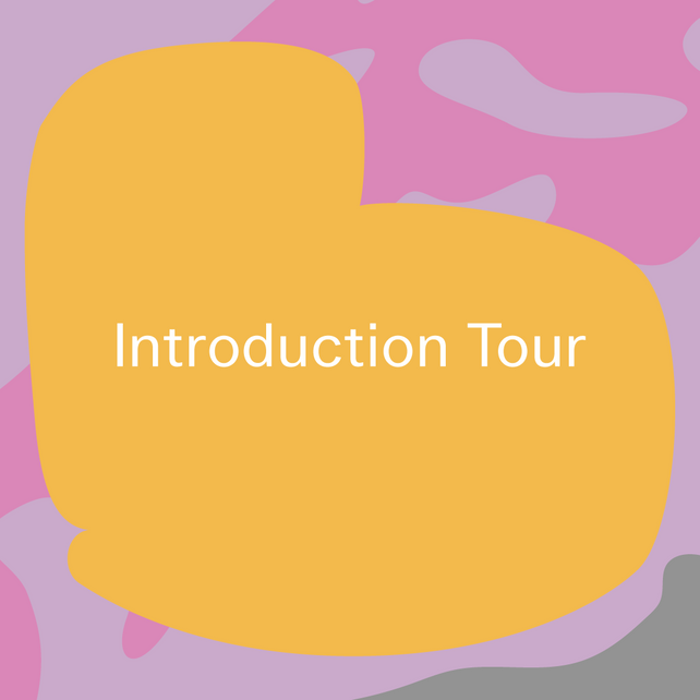 Tour: Introduction Tour, 45 mins