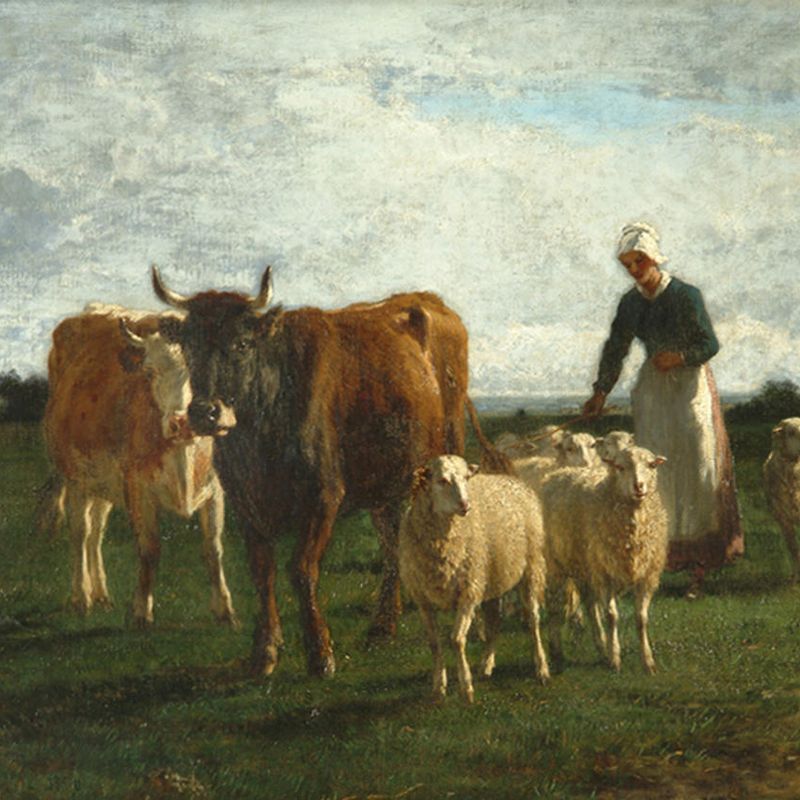 Evening, Driving Cattle