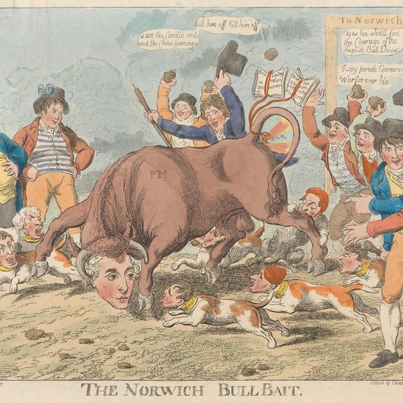 The Norwich Bull-Bait