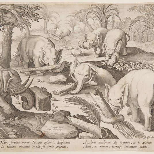Elephants Helding Each Other out of a Trap, plate 1 from the Venationes Ferarum, Avium, Piscium series