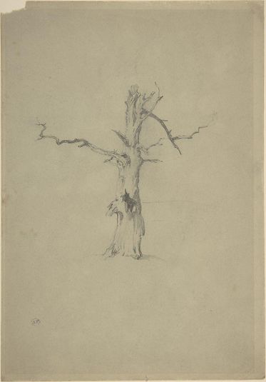 Study of a Dead Tree