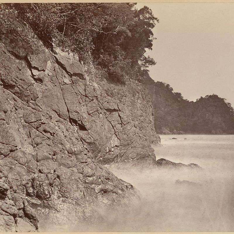 Tropical Scenery, Cliff - Limon Bay