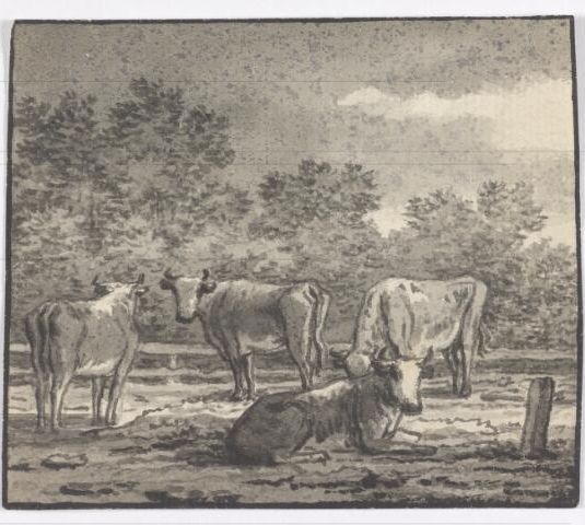 Vier koeien bij een hek