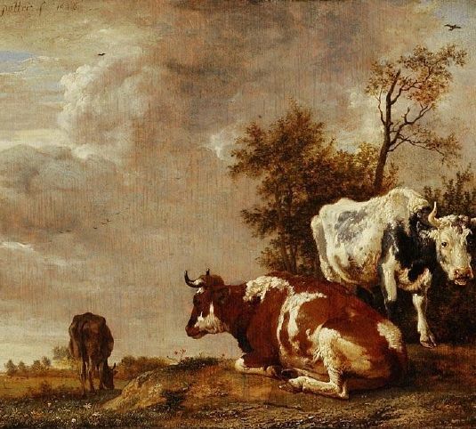 Three Cows on a Pasture
