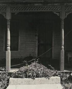 Porch with Vegetation
