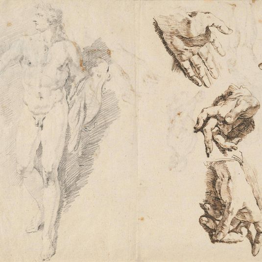 Apollo and Studies of the Artist's Own Hand [recto]