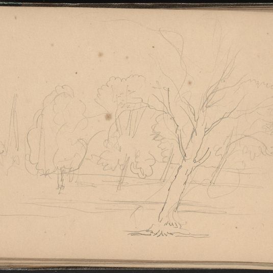 Sketch of Trees
