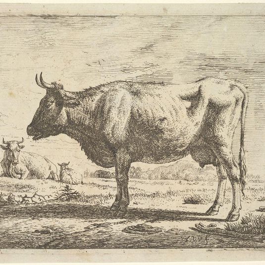 Two Cows and a Sheep, from Different Animals