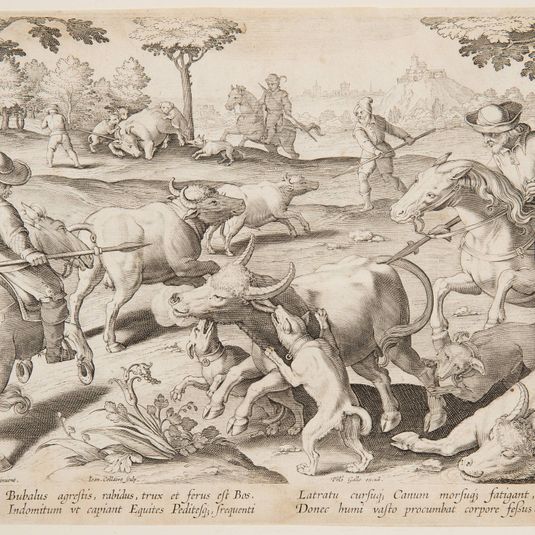 Buffalo Hunt, plate 27 in the Venationes Ferarum, Avium, Piscium series