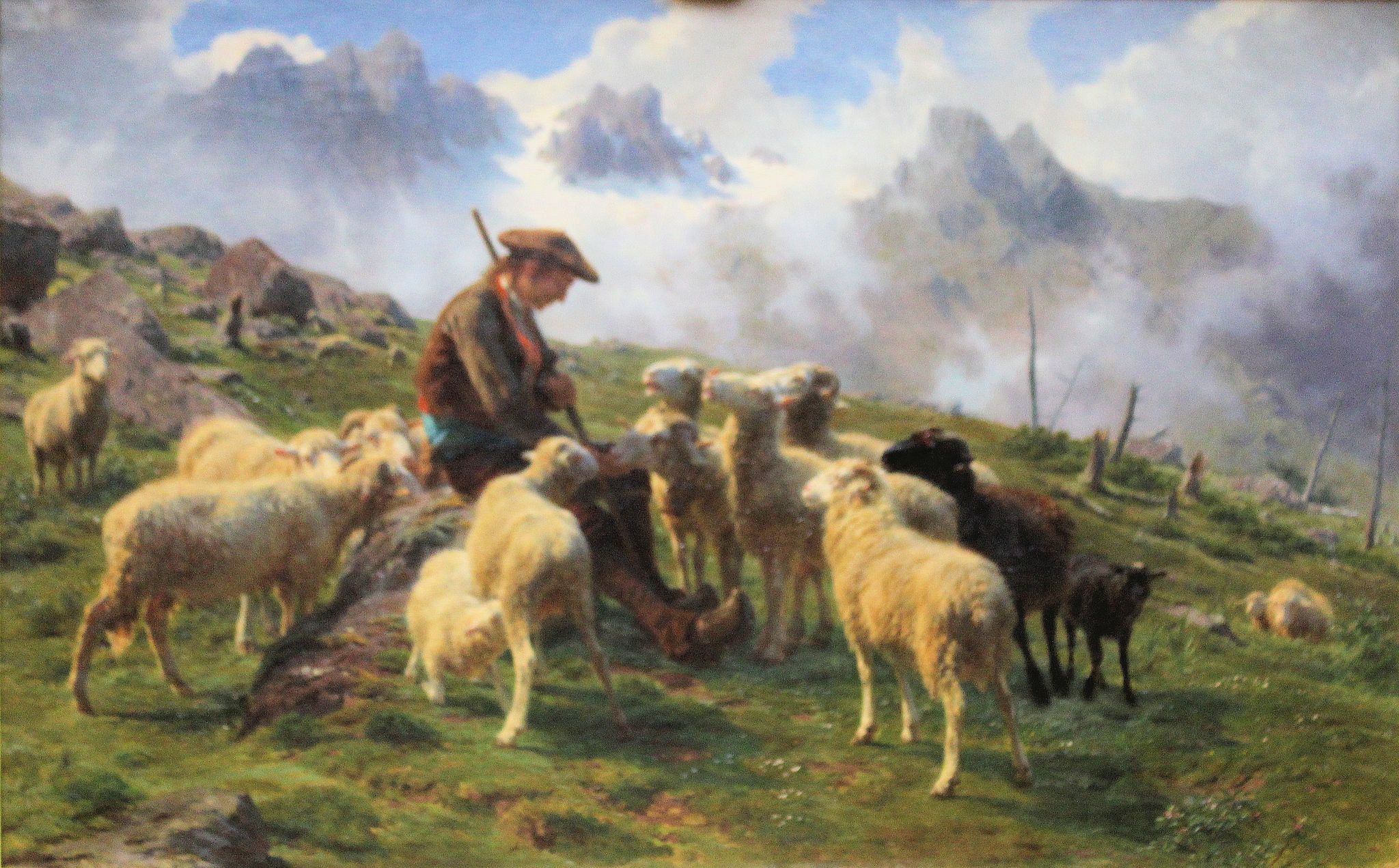 Pyrenean Shepherd Offering Salt to his Sheep