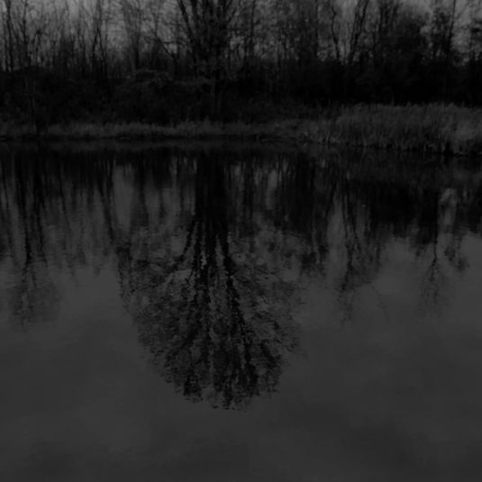 Untitled #13 (Trees and Reflections), from the series Night Coming Tenderly, Black