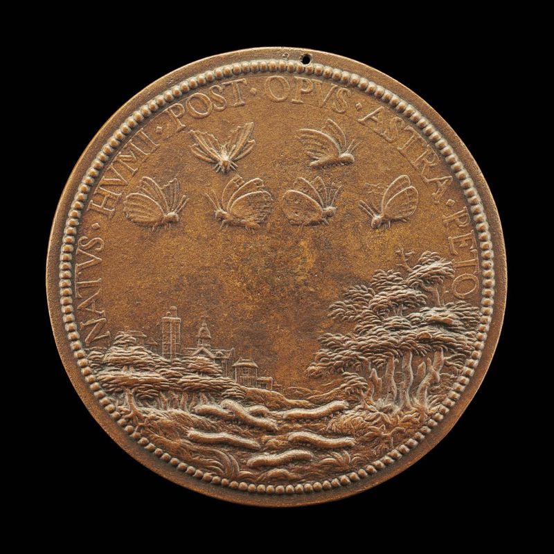 Landscape with Caterpillars and Butterflies [reverse]
