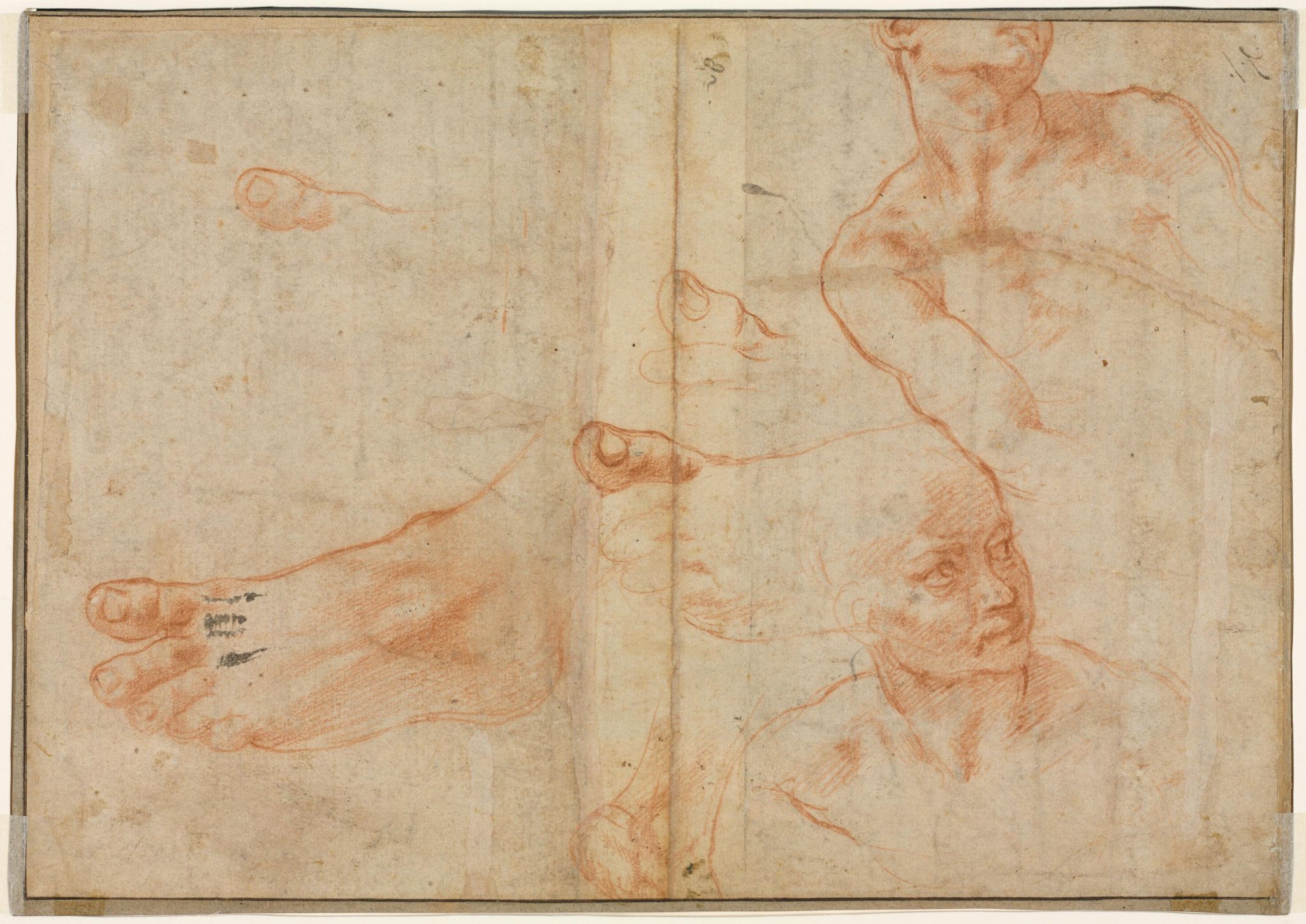 Figure Studies for the Sistine Ceiling (verso)