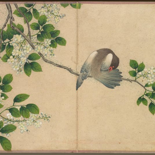 Desk Album: Flower and Bird Paintings (Preening Bird)
