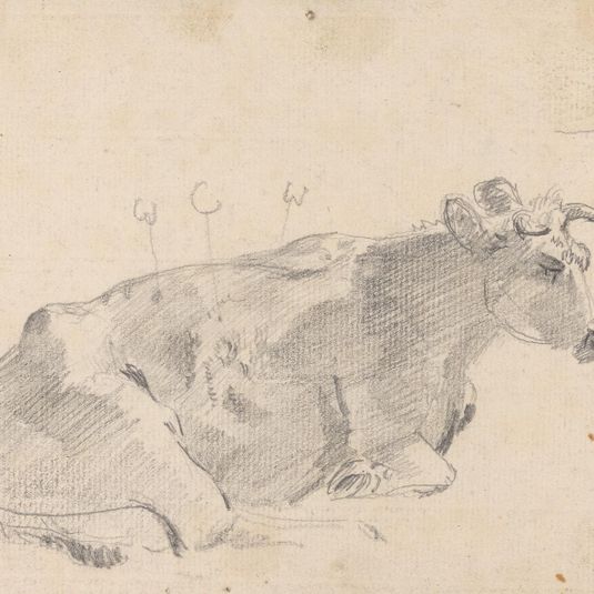 Study of a cow lying down, and facing right