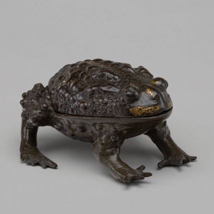 A Large Toad