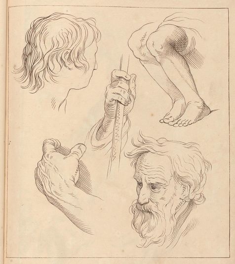 Sketches of Hands, Heads, and Legs, October 25, 1716